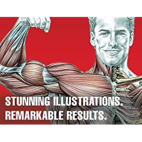 Strength Training Anatomy