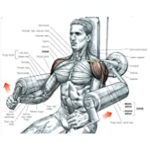 Lateral Raises