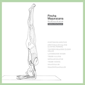 black and white outlined drawing of woman in a yoga headstand