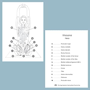 image of both sides of a flashcard showing a yoga pose on one site and description on the other