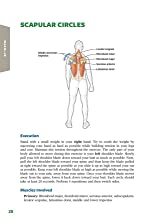 Golf Anatomy, Warm up: Scapular Circles